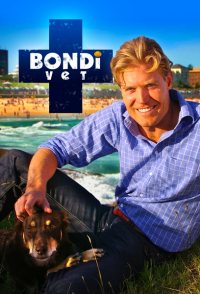 Bondi Vet