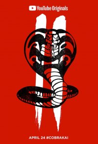 Cobra Kai (TV Series 2018–2024) - IMDb