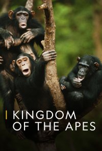 Kingdom of the Apes