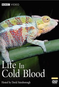 Life in Cold Blood
