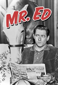 Mister Ed