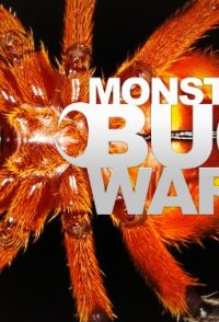 Monster Bug Wars!