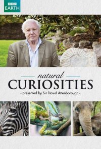 Natural Curiosities