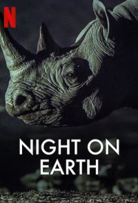 Night on Earth