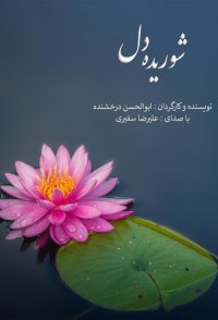 Shoorideh Del