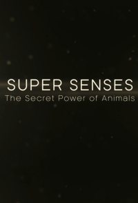 Super Senses: The Secret Power of Animals