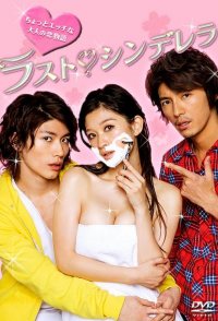 The Last Cinderella