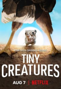 Tiny Creatures