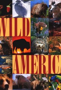 Wild America