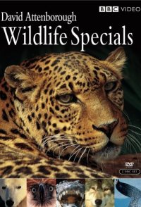Wildlife Specials