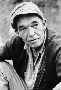 Hal Hopper