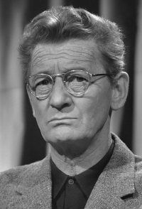 Simon Carmiggelt